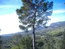 Herbst auf Mallorca